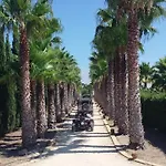 A Selinunte Marinella di Selinunte